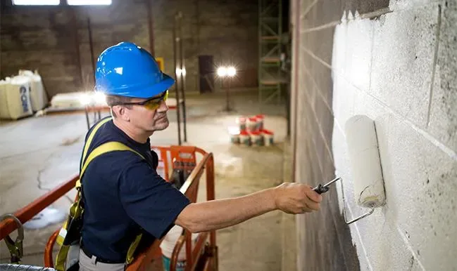 Interior wall painting and finishing